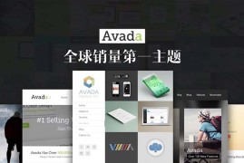 Avada主题V6.2.3中文汉化版含正版密钥-多用途网站WordPress模板